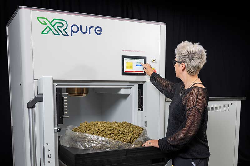 Worker using XRpure XR16: X-ray Cannabis Decontamination Digital interface