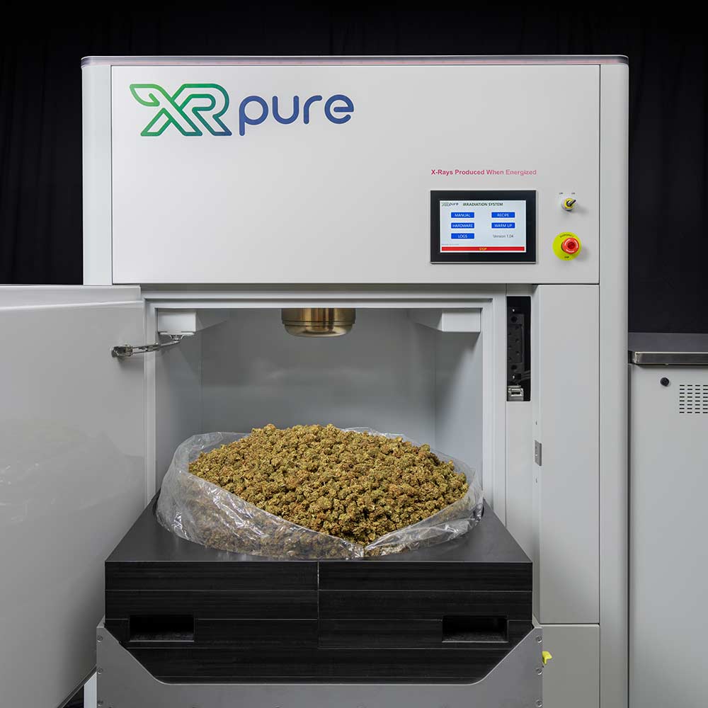 An open bag of cannabis flower loaded into the XRpure XR16: X-ray Cannabis Decontamination Machine