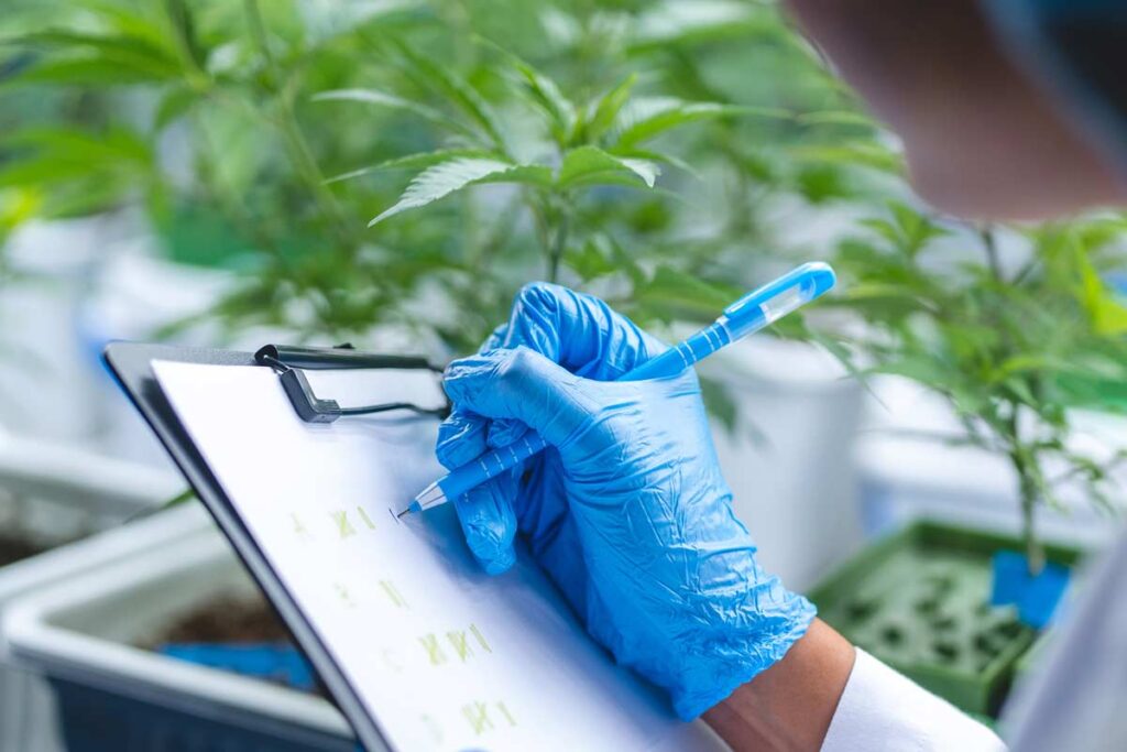 Checklist for Cannabis Cultivation