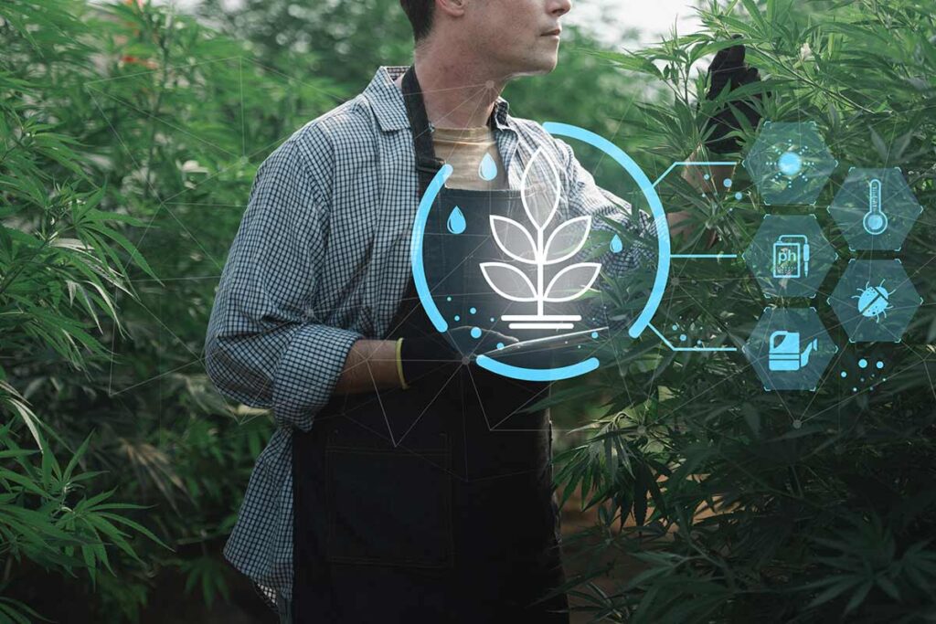 Tech improves cannabis operations